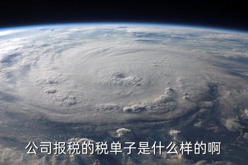 稅務(wù)清單是什么樣的，公司報(bào)稅的稅單子是什么樣的啊
