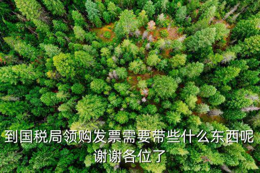 到國稅局領(lǐng)購發(fā)票需要帶些什么東西呢謝謝各位了