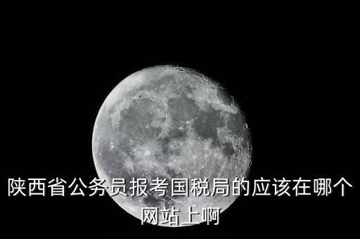 陜西省公務員報考國稅局的應該在哪個網(wǎng)站上啊
