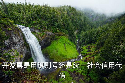 發(fā)票統(tǒng)一社會(huì)信用代碼是什么意思，開發(fā)票是用識(shí)別號(hào)還是統(tǒng)一社會(huì)信用代碼