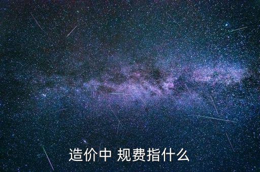 什么叫規(guī)費 稅金，規(guī)費是什么意思