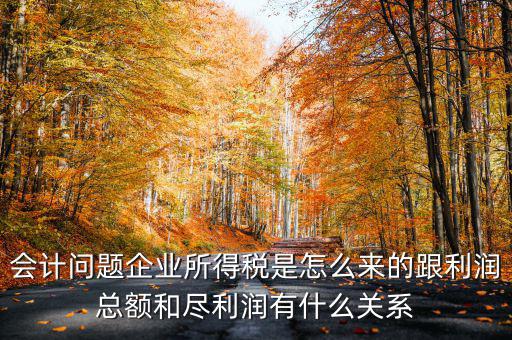 企業(yè)所得稅和什么有關，增值稅和企業(yè)所得稅有關系么