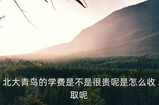 國稅局安靜工程是什么，北大青鳥的學費是不是很貴呢是怎么收取呢