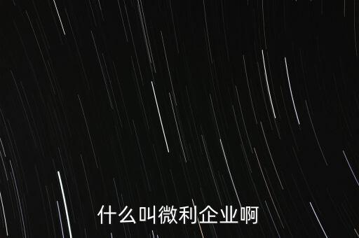 什么叫微利企業(yè)啊