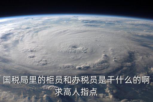 什么叫辦稅員，國(guó)稅局里的柜員和辦稅員是干什么的啊求高人指點(diǎn)