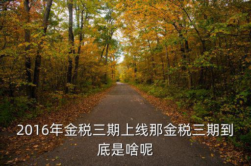 什么叫金稅三期，2016年金稅三期上線那金稅三期到底是啥呢