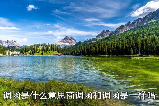 稅局調(diào)函是什么意思，暫不辦理個(gè)人檔案或同意調(diào)出函是什么意思