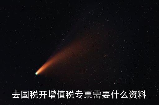 去國(guó)稅開(kāi)增值稅專票需要什么資料