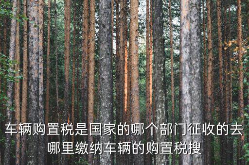 車購(gòu)稅局屬于什么，車輛購(gòu)置稅是國(guó)家的哪個(gè)部門征收的去哪里繳納車輛的購(gòu)置稅搜