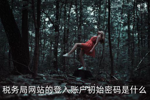 稅務(wù)局網(wǎng)站的登入賬戶初始密碼是什么