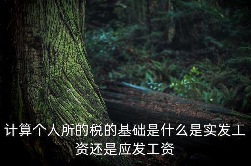 稅金的計(jì)算基礎(chǔ)是什么，計(jì)稅基礎(chǔ)是什么意思