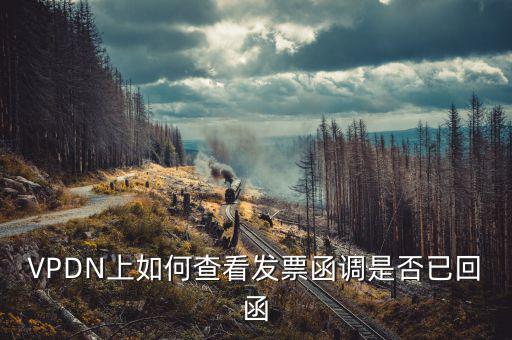 發(fā)票為什么會被復(fù)函，VPDN上如何查看發(fā)票函調(diào)是否已回函
