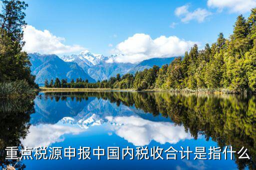 重點稅源填了有什么用，我的電腦重裝后重點稅源以前數(shù)據(jù)怎么查詢