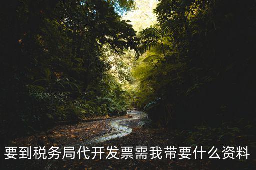 去稅務(wù)局開(kāi)票需要帶什么資料，去稅務(wù)局開(kāi)票的話需要帶什么材料呢