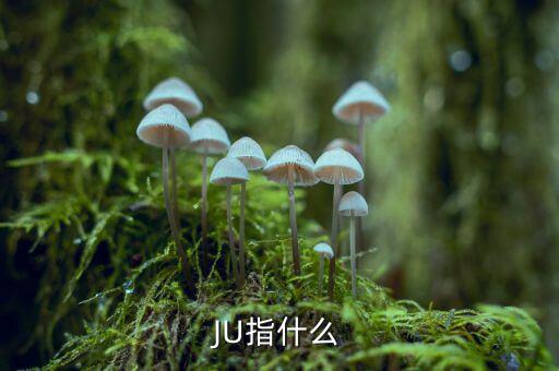 云南話ju什么意思，ju是什么意思