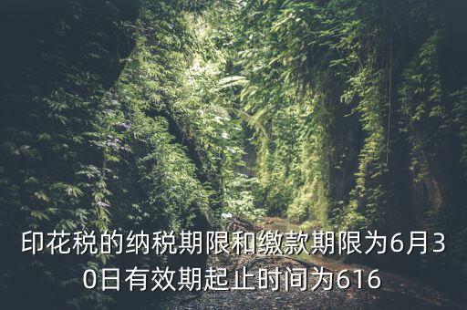 繳款期限什么意思，滯納金是什么意思