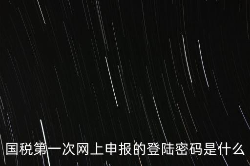 國稅的登錄密碼是什么，國稅第一次網(wǎng)上申報(bào)的登陸密碼是什么