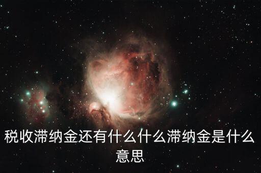 地稅滯納金是什么意思，稅收滯納金還有什么什么滯納金是什么意思