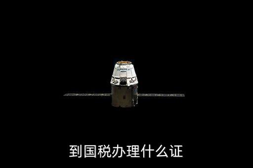 國稅證是什么，國稅局都頒發(fā)什么證