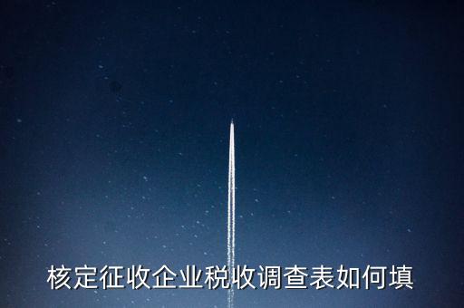 什么企業(yè)填稅收調(diào)查表，核定征收企業(yè)稅收調(diào)查表如何填