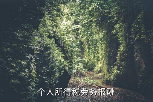 個(gè)稅什么情況勞務(wù)報(bào)酬，有關(guān)個(gè)稅勞務(wù)報(bào)酬