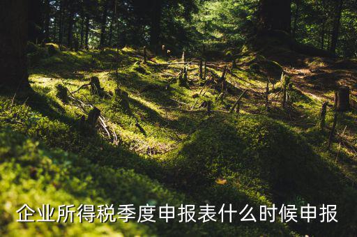 季度稅是在什么時(shí)候報(bào)，年度季度企業(yè)所得稅申報(bào)時(shí)間