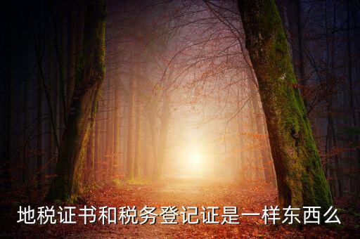 地稅登記證是什么，地方稅納稅資料封面上稅務(wù)登記證號(hào)是甚么