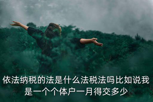 什么是依法納稅人，依法納稅的法是什么法稅法嗎比如說(shuō)我是一個(gè)個(gè)體戶一月得交多少
