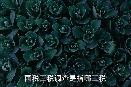 全國(guó)稅收調(diào)查是什么，全國(guó)稅收調(diào)查表中審核公式IFXXBB8 1 XXBB8 4