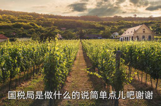 國稅局是做什么的說簡(jiǎn)單點(diǎn)兒吧謝謝