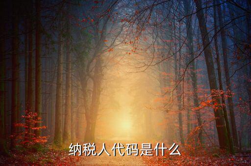 納稅人代碼是什么