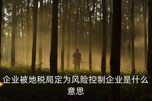 企業(yè)被地稅局定為風(fēng)險控制企業(yè)是什么意思