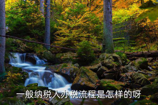 什么是正常辦稅，一般納稅人辦稅流程是怎樣的呀