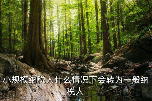 小規(guī)模納稅人什么情況下會轉為一般納稅人