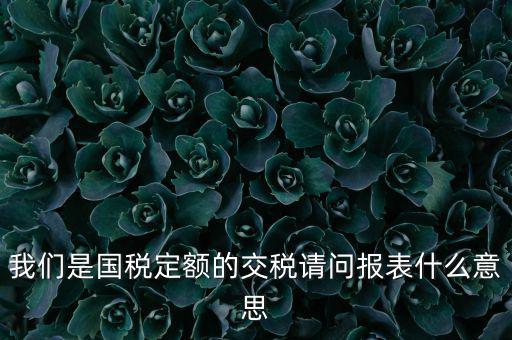 我們是國稅定額的交稅請(qǐng)問報(bào)表什么意思