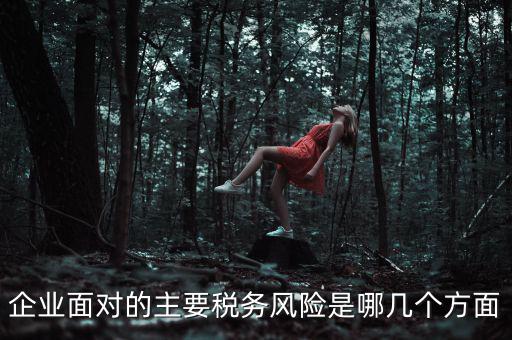 企業(yè)面對的主要稅務(wù)風險是哪幾個方面