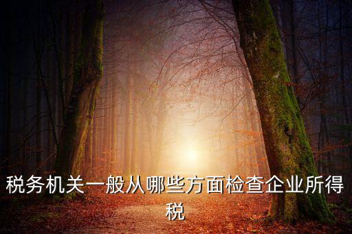 稅務(wù)機(jī)關(guān)一般從哪些方面檢查企業(yè)所得稅