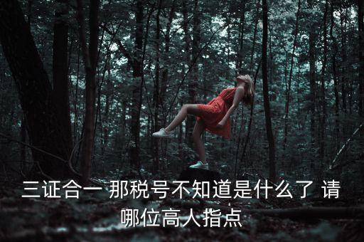 三證合一后的發(fā)票稅號(hào)是什么意思，三證合一 那稅號(hào)不知道是什么了 請(qǐng)哪位高人指點(diǎn)