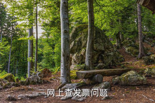 查發(fā)票流向什么意思，網(wǎng)上查發(fā)票問題