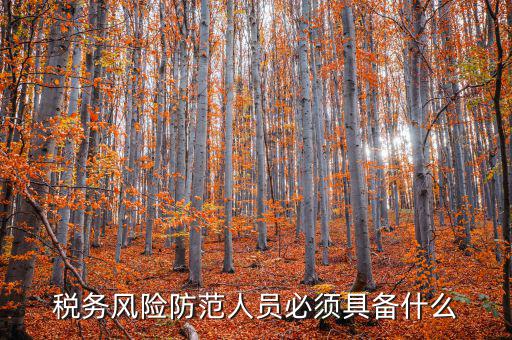 稅務(wù)風險防范人員必須具備什么