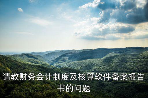 請教財(cái)務(wù)會(huì)計(jì)制度及核算軟件備案報(bào)告書的問題