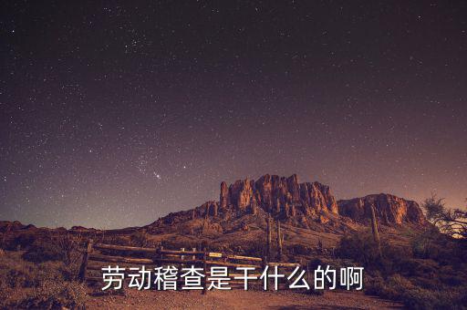稽查是什么工作，勞動稽查是干什么的啊