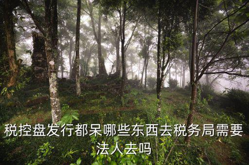 辦理稅控盤去什么地方，稅控盤發(fā)行都呆哪些東西去稅務局需要法人去嗎