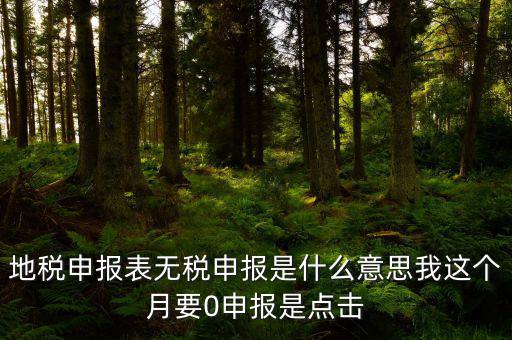 地稅申報(bào)表無稅申報(bào)是什么意思我這個(gè)月要0申報(bào)是點(diǎn)擊