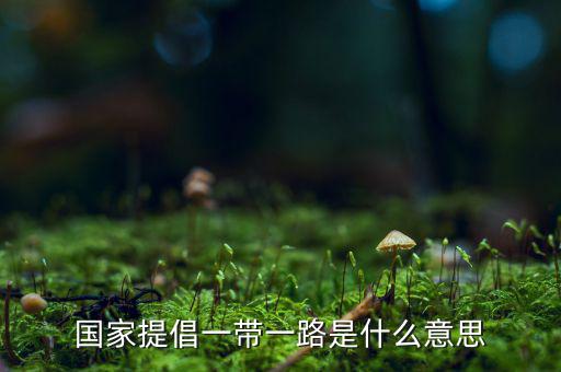 國(guó)稅一帶一路什么意思，一帶一路指什么意思