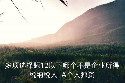 什么納稅人，多項(xiàng)選擇題12以下哪個(gè)不是企業(yè)所得稅納稅人  A個(gè)人獨(dú)資