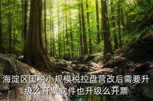 稅控盤為什么要升級，稅控盤鎖了找稅務(wù)專管員處理了說拿回來要升級一下怎么升級