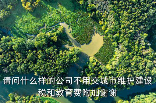 請問什么樣的公司不用交城市維護(hù)建設(shè)稅和教育費(fèi)附加謝謝