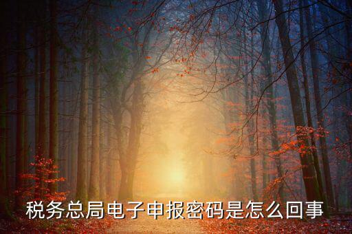 山東國稅登錄密碼是什么意思，使用過的帳號登錄密碼是什么意思