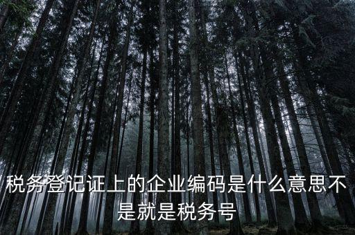 稅務編碼是什么意思，稅務登記證上的企業(yè)編碼是什么意思不是就是稅務號